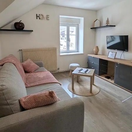 Au Coeur De 4 A 6 Personnes Classe 2 Etoiles Apartment Gerardmer